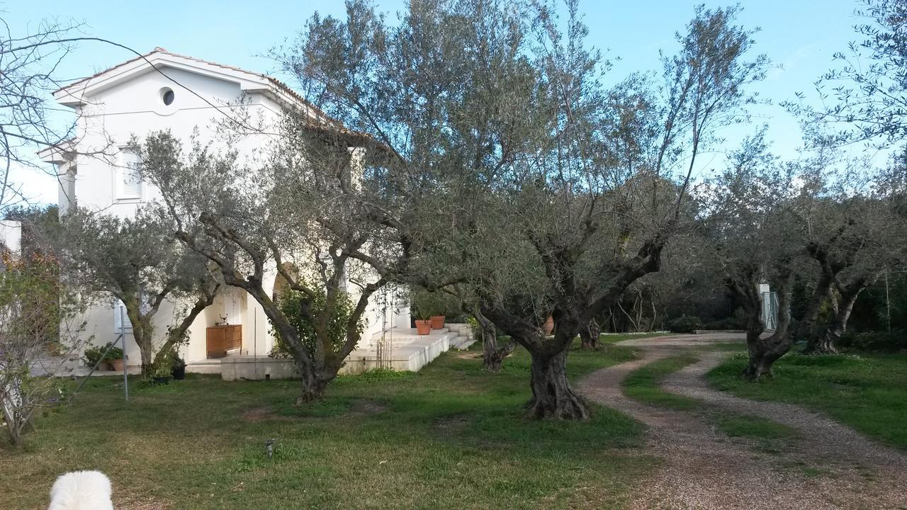 Villa Feia Katakolo Extérieur photo